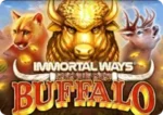 Immortal Ways Buffalo